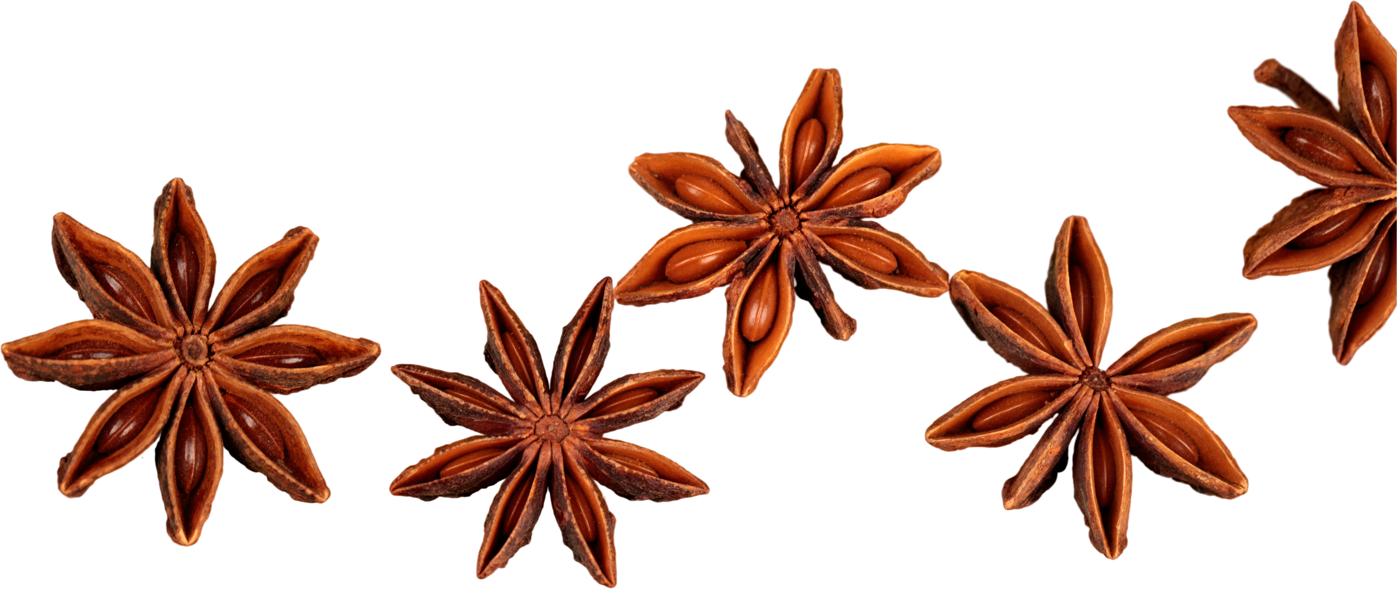 Star Anise - Isolated